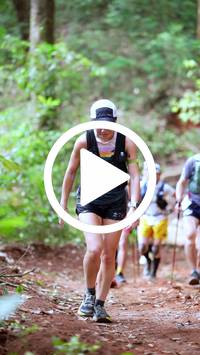 BIB:  <button type="button" onclick="openModal(27492446)" class="btn btn-primary btn-sm float-right" data-toggle="modal" data-target=".modal-high-quality">
                <i class="fa fa-download"></i> Download
                </button>